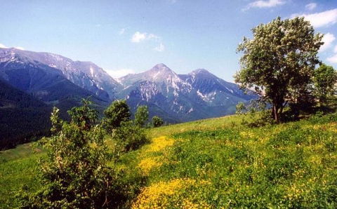 Tatranský národný park