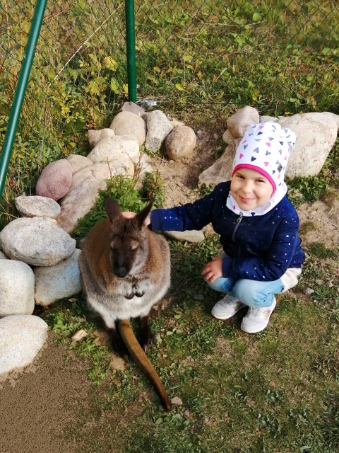 Zookontakt familly park