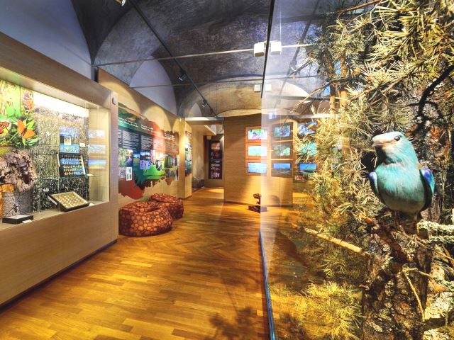 Slovenské múzeum ochrany prírody a jaskyniarstva - fauna 