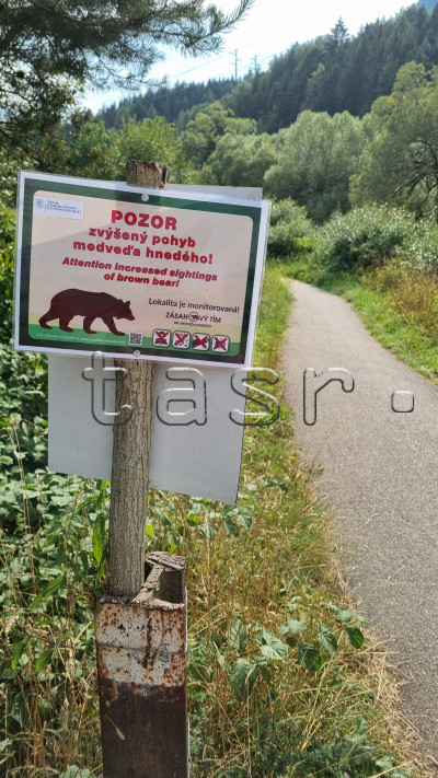 Okresný úrad vyhlásil kvôli medveďom mimoriadnu situáciu