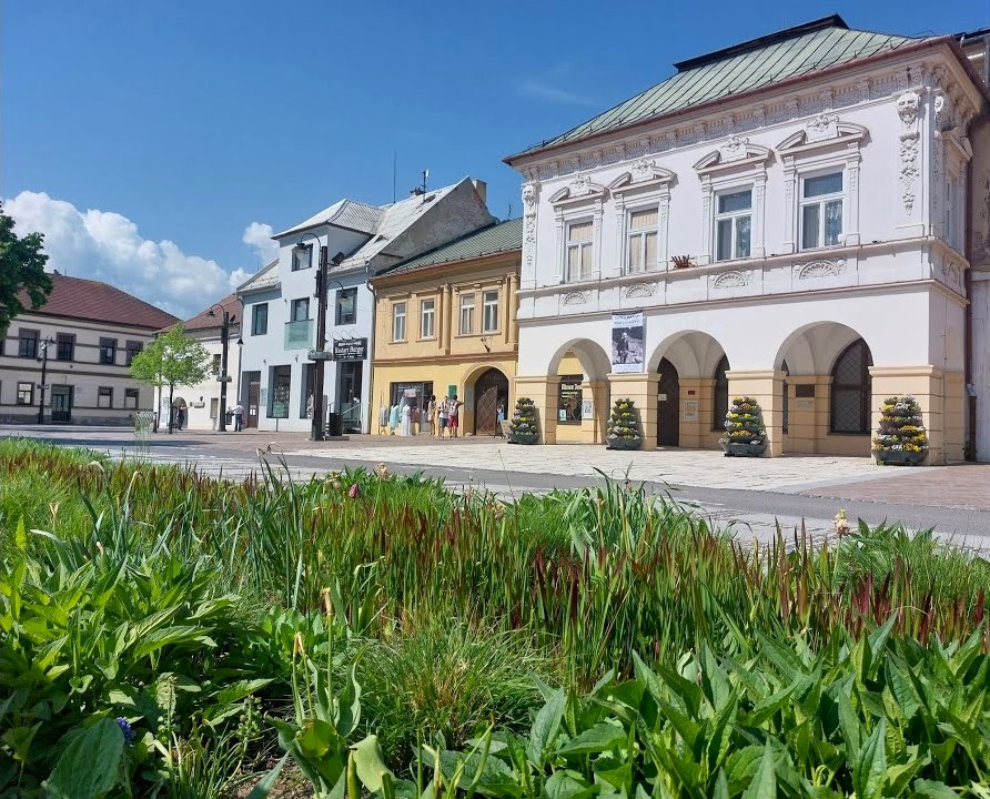 Mesto hľadá riaditeľa múzea