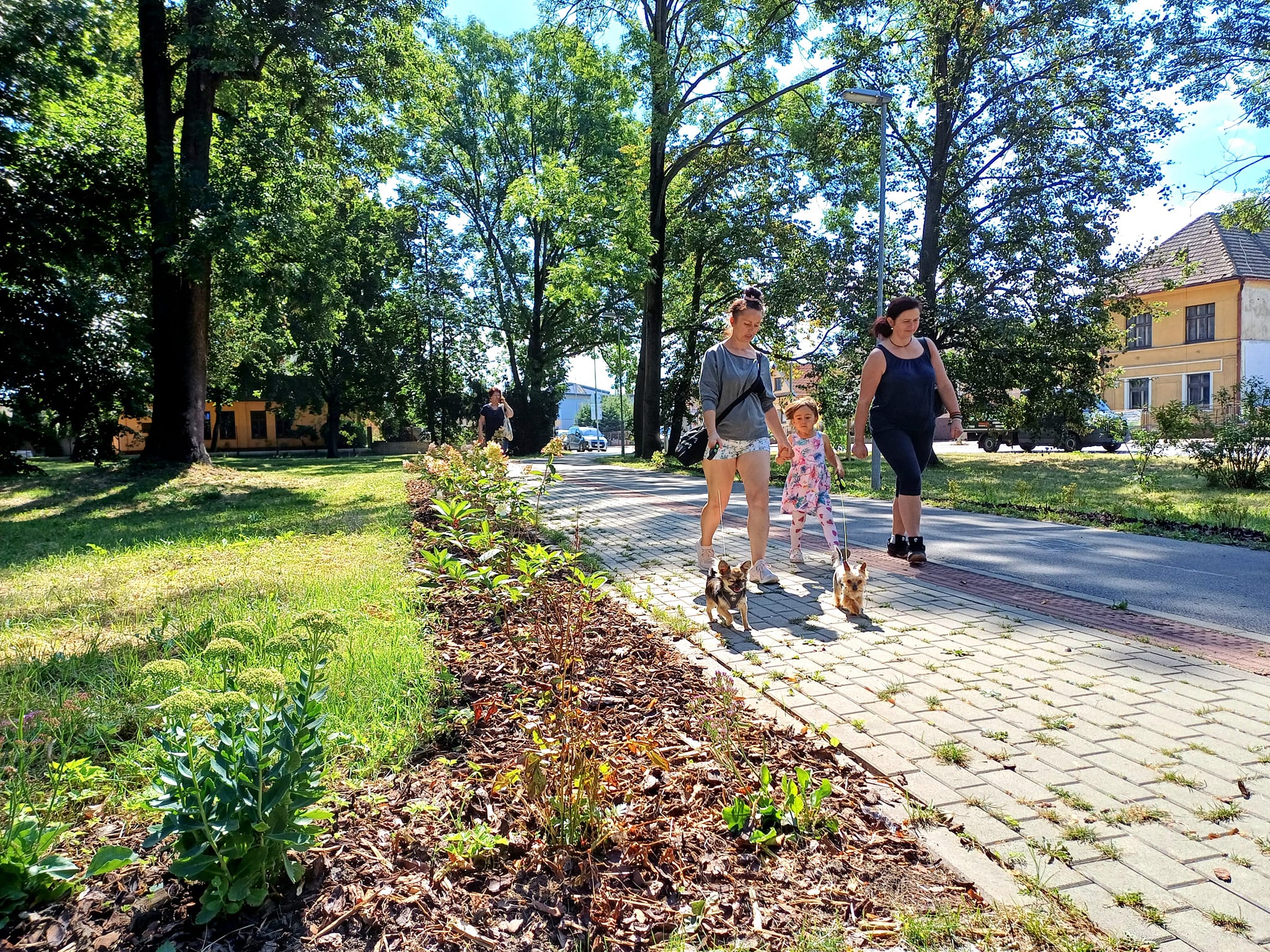 Nová výsadba skrášli Park Márie Rázusovej-Martákovej